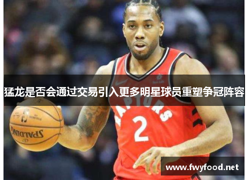 猛龙是否会通过交易引入更多明星球员重塑争冠阵容