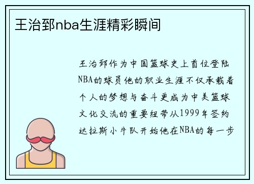 王治郅nba生涯精彩瞬间